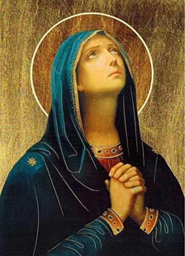 Our Lady Pleads